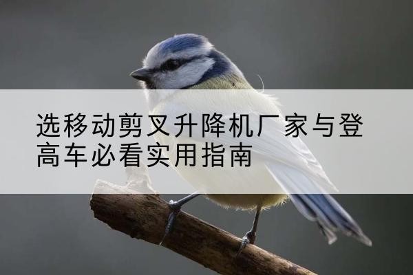 嘉善电动升降机厂家-选移动剪叉升降机厂家与登高车必看实用指南