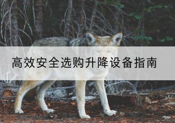 嘉善升降货梯厂家推荐-*安全选购升降设备指南