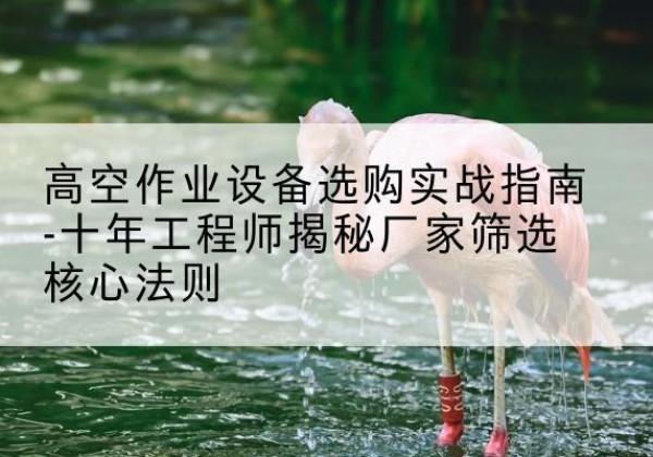 嘉善剪叉式升降机厂家-高空作业设备选购实战指南-十年工程师揭秘厂家筛选核心法则